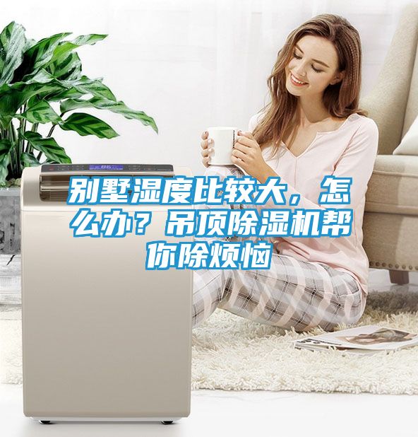 别墅湿度比较大，怎么办？吊顶除湿机帮你除烦恼