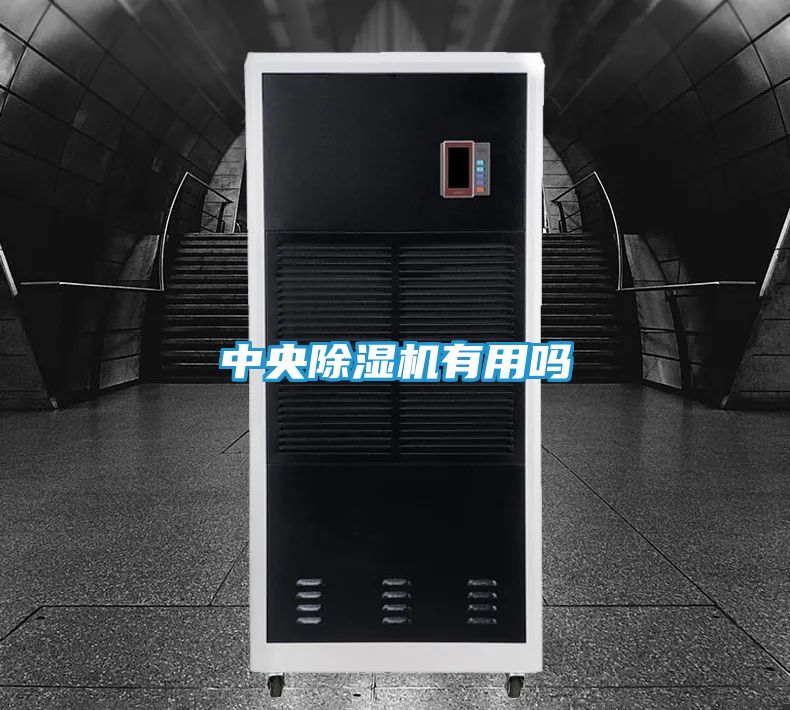 中央除湿机有用吗