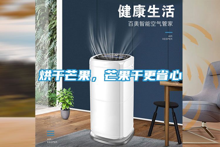 烘干芒果，芒果干更省心