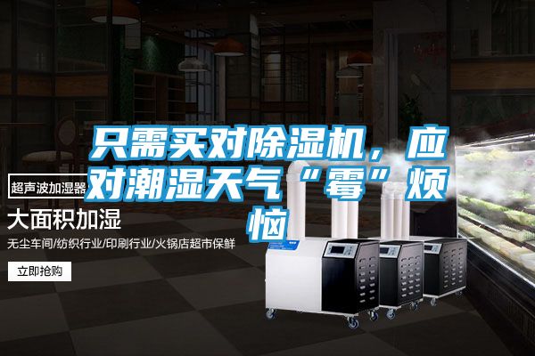 只需买对除湿机，应对潮湿天气“霉”烦恼