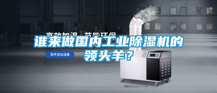 谁来做国内工业除湿机的领头羊？