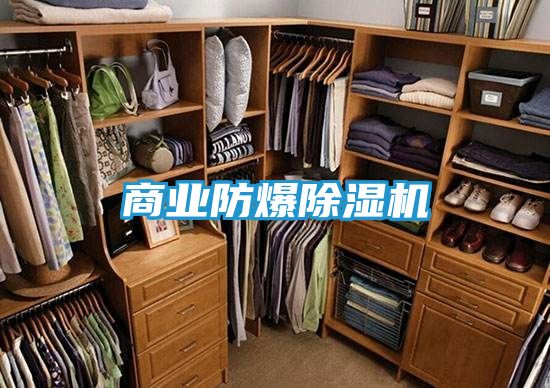 商业防爆除湿机