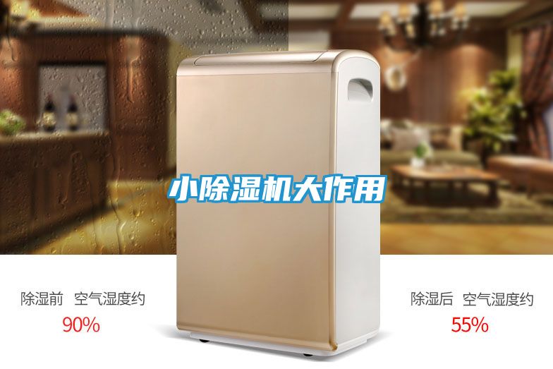 小除湿机大作用