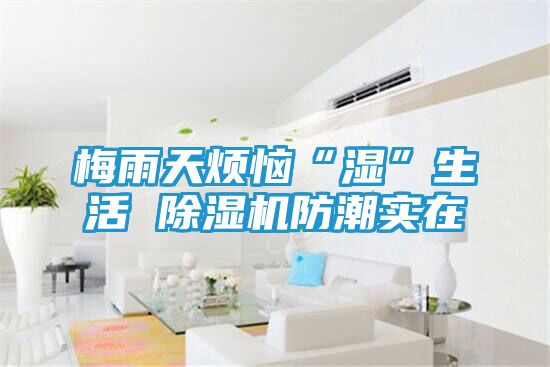 梅雨天烦恼“湿”生活 除湿机防潮实在