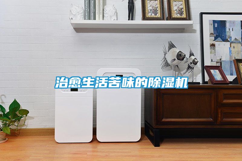 治愈生活苦味的除湿机