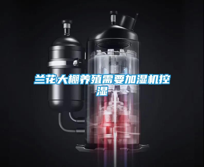 兰花大棚养殖需要加湿机控湿