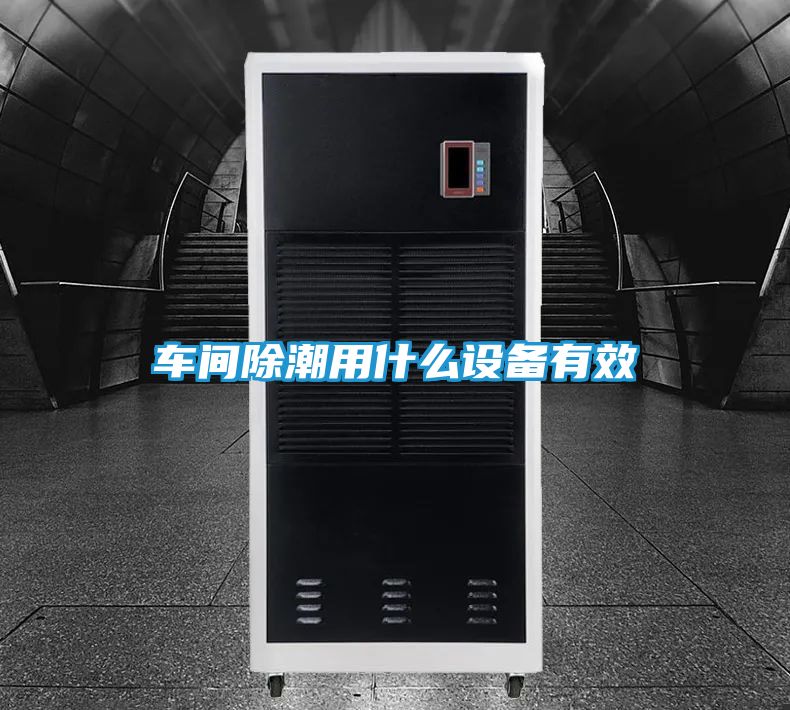 车间除潮用什么设备有效