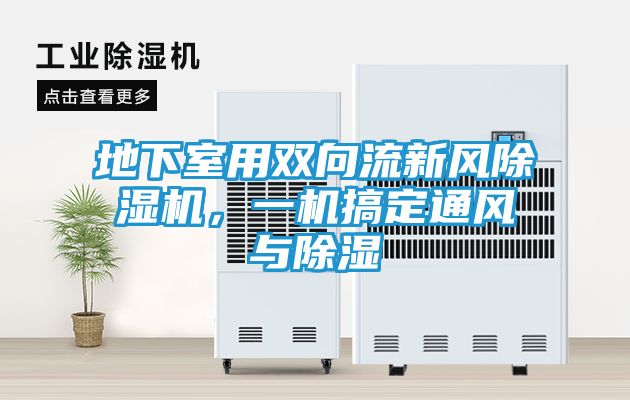 地下室用双向流新风除湿机，一机搞定通风与除湿