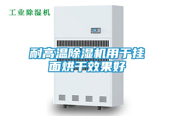 耐高温除湿机用于挂面烘干效果好