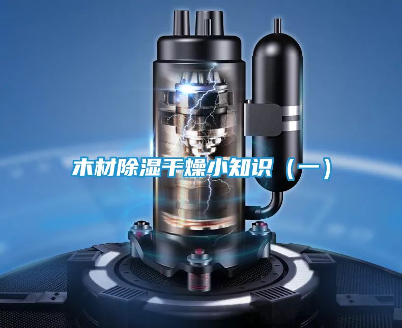 木材除湿干燥小知识（一）