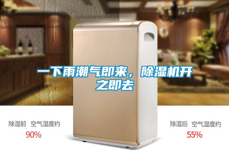 一下雨潮气即来，除湿机开之即去
