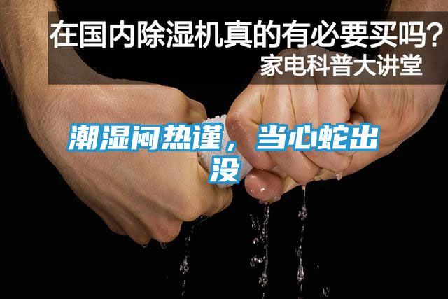 潮湿闷热谨，当心蛇出没