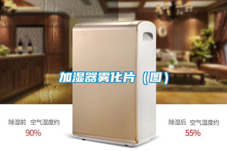 加湿器雾化片（图）