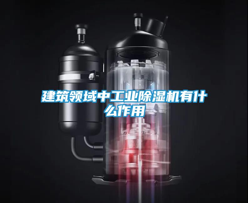 建筑领域中工业除湿机有什么作用