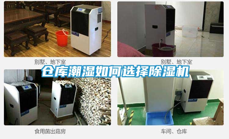 仓库潮湿如何选择除湿机