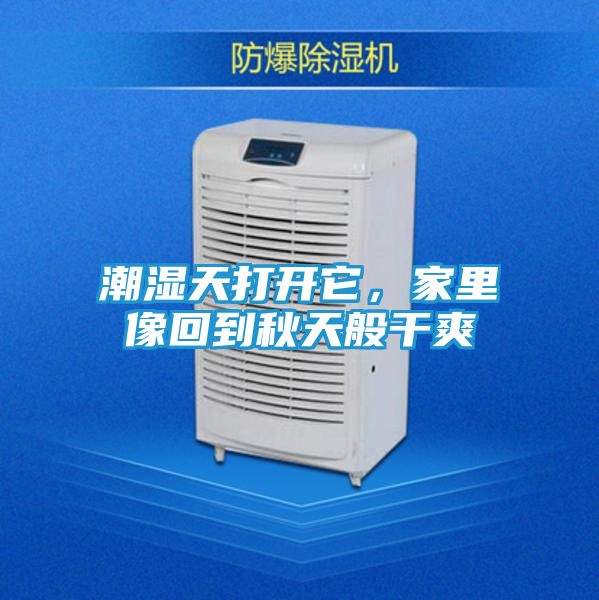 潮湿天打开它，家里像回到秋天般干爽