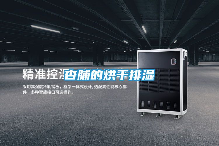 杏脯的烘干排湿