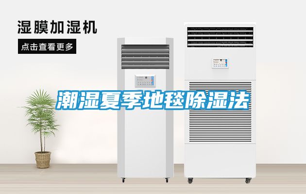 潮湿夏季地毯除湿法