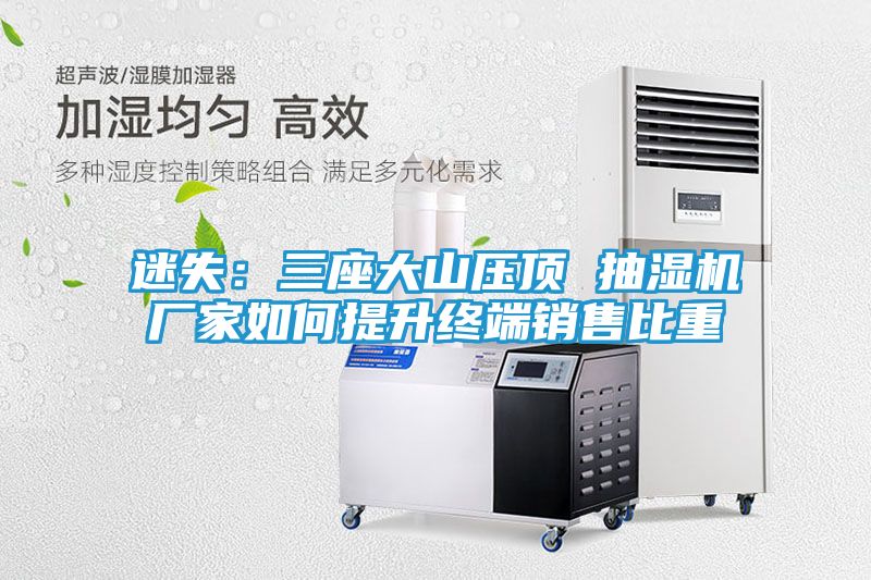迷失:三座大山压顶 抽湿机厂家如何提升终端销售比重