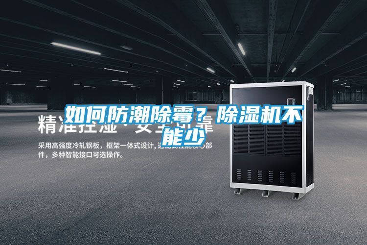 如何防潮除霉？除湿机不能少