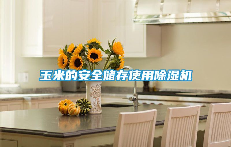 玉米的安全储存使用除湿机