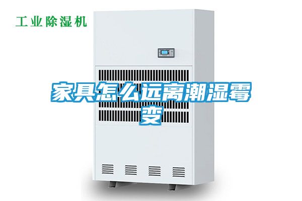 家具怎么远离潮湿霉变