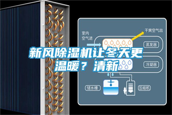 新风除湿机让冬天更温暖?清新