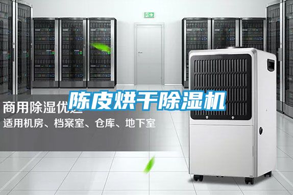 陈皮烘干除湿机