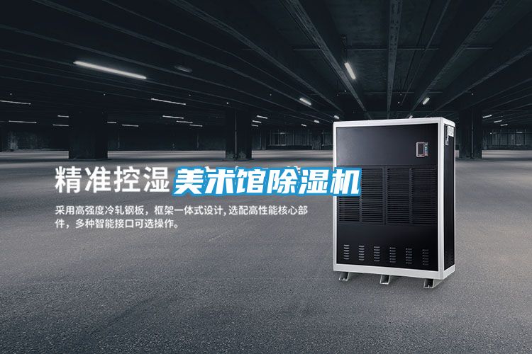美术馆除湿机