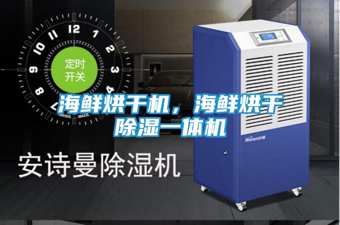 海鲜烘干机，海鲜烘干除湿一体机