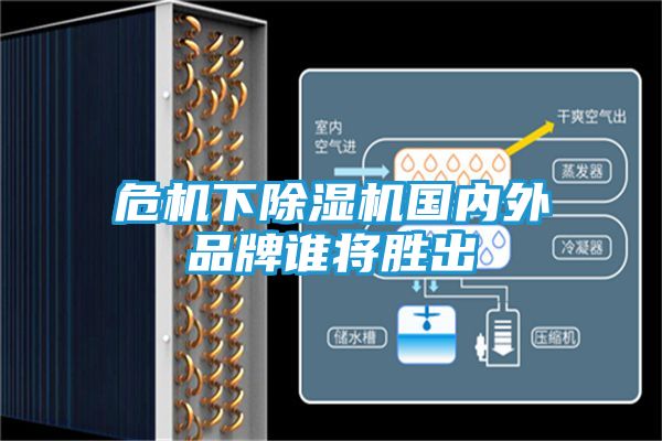 危机下除湿机国内外品牌谁将胜出