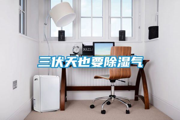 三伏天也要除湿气