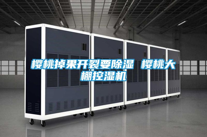 樱桃掉果开裂要除湿 樱桃大棚控湿机