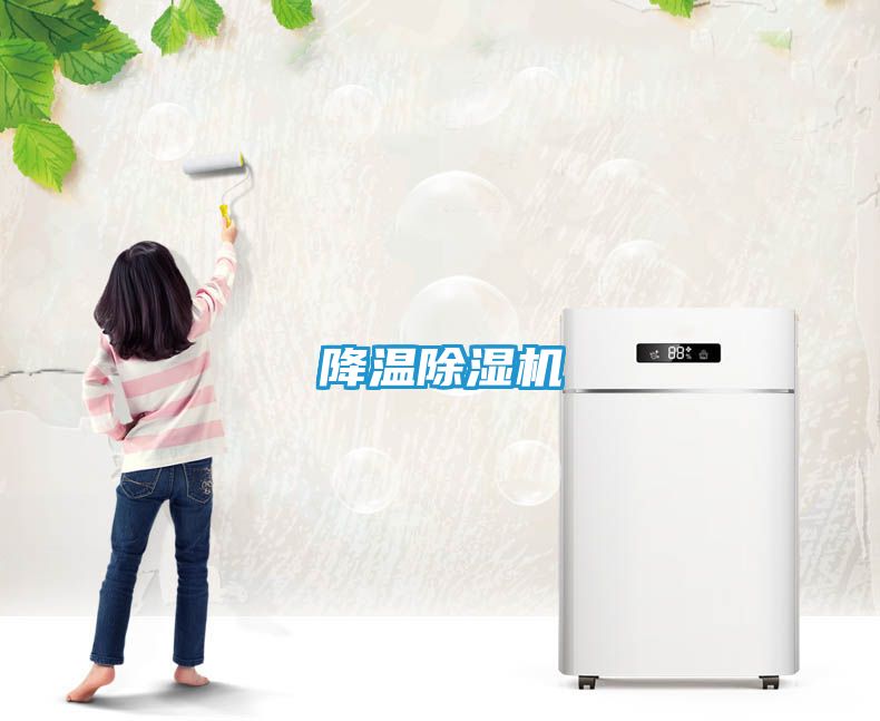 降温除湿机