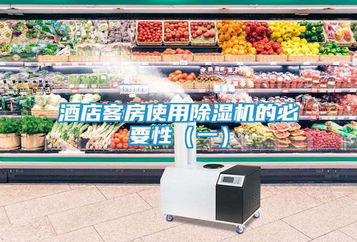 酒店客房使用除湿机的必要性(一)