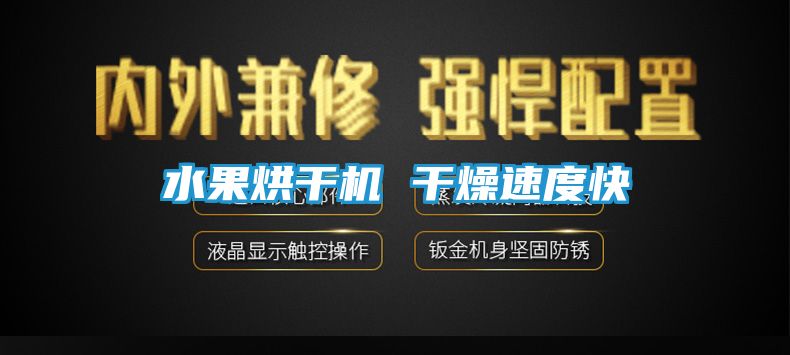 水果烘干机 干燥速度快