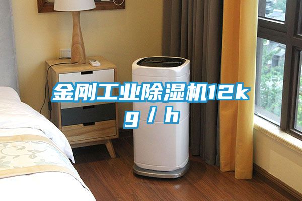 金刚工业除湿机12kg/h