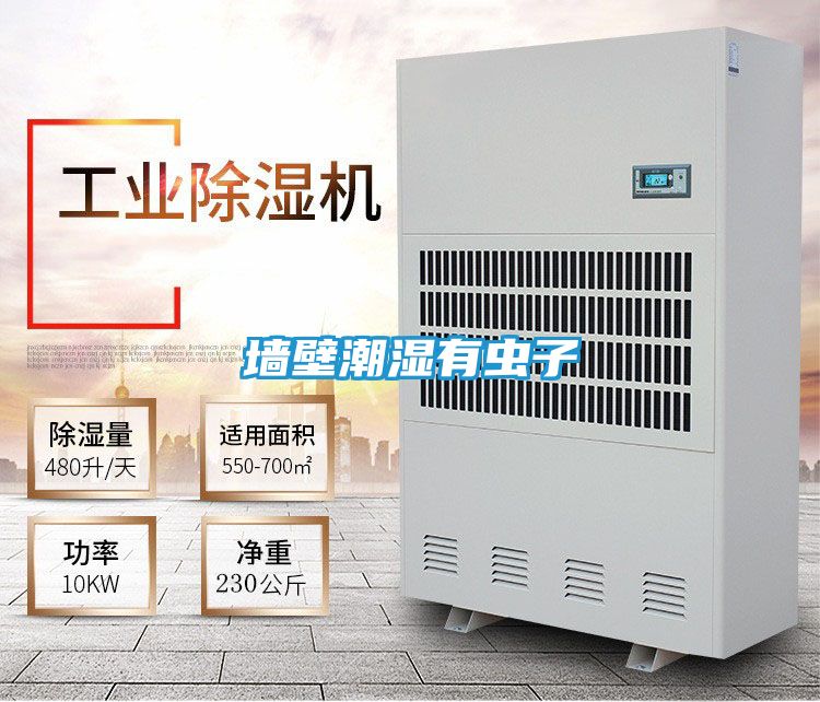 墙壁潮湿有虫子