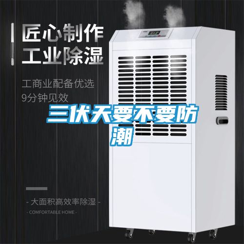 三伏天要不要防潮