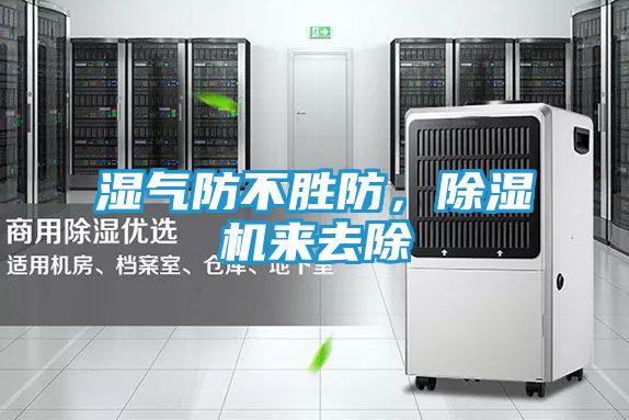 湿气防不胜防，除湿机来去除