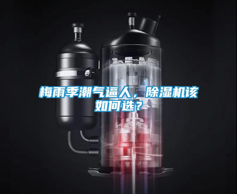 梅雨季潮气逼人，除湿机该如何选？