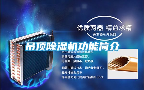 吊顶除湿机功能简介