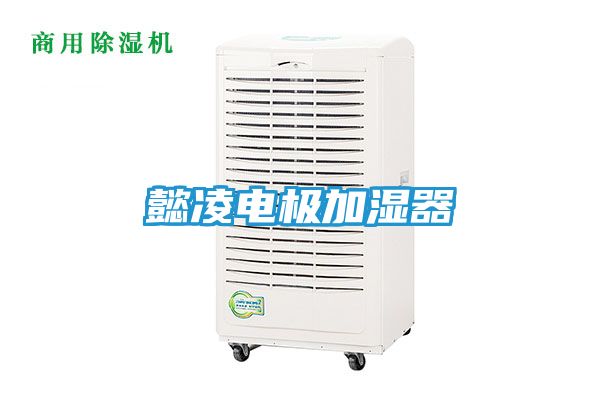 懿凌电极加湿器
