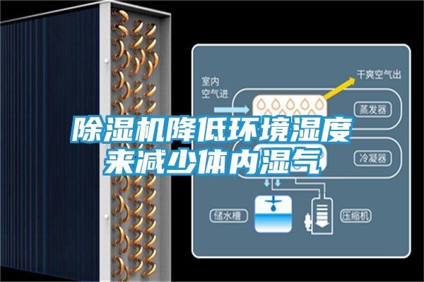 除湿机降低环境湿度来减少体内湿气