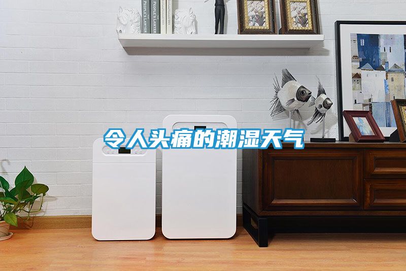 令人头痛的潮湿天气
