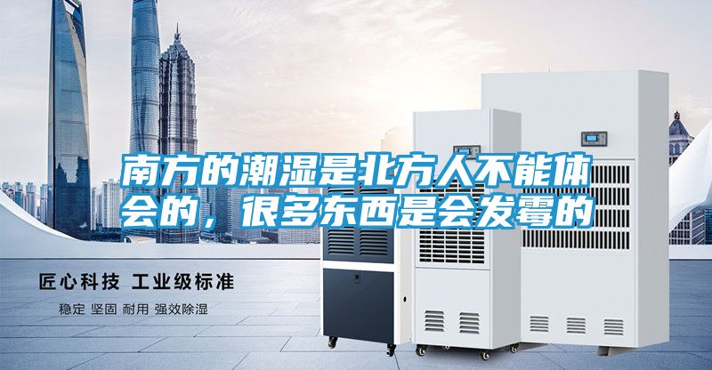 南方的潮湿是北方人不能体会的，很多东西是会发霉的