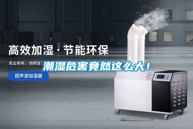潮湿危害竟然这么大！