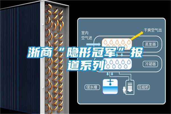 浙商“隐形冠军”报道系列