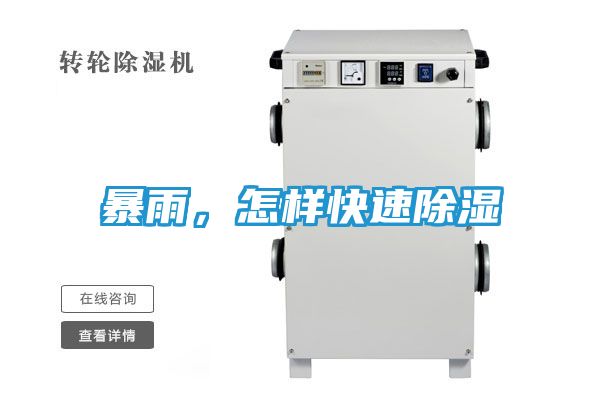 暴雨，怎样快速除湿