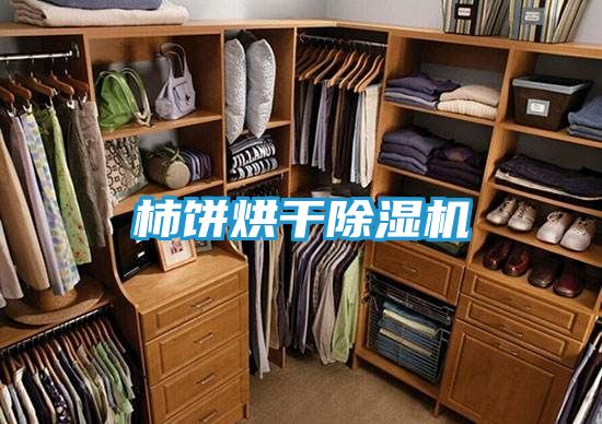 柿饼烘干除湿机